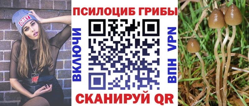 Галлюциногенные грибы Cubensis  Купить где  Осинники 