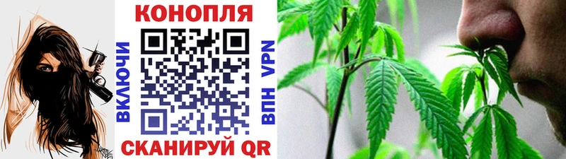Купить  Осинники  Бошки Шишки MAZAR 